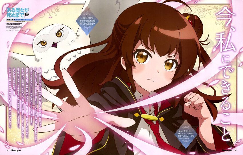 1girl, absurdres, ahoge, anime_coloring, artist_name, aru_majo_ga_shinu_made, bird, black_robe