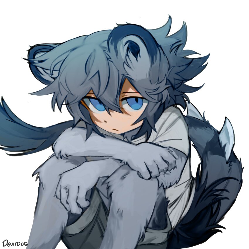 1boy, absurdres, animal_ears, animal_feet, animal_hands, blue_eyes, commentary, deviidog0, english_commentary, feet_out_of_frame, grey_hair, highres, knees_up, looking_at_viewer, male_focus, monster_boy, original, shirt, short_hair, shorts, simple_background, sitting, solo, tail, white_background