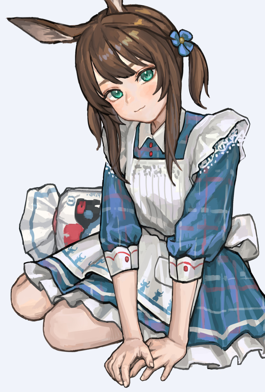 1girl, absurdres, amiya_(arknights), animal_ears, apron, arknights, blue_dress, blue_flower