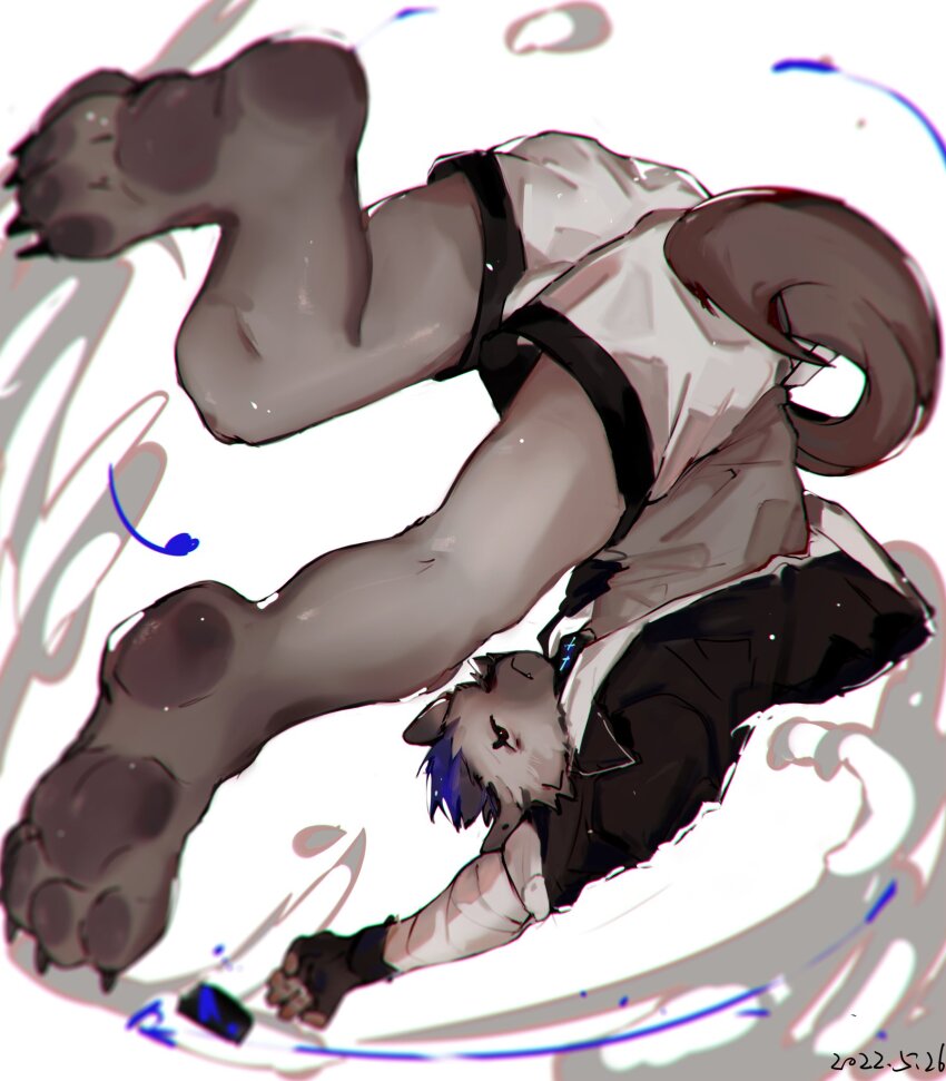 1boy, arknights, barefoot, black_hair, black_jacket, claws, closed_mouth, dated, furry, furry_male, grey_fur, grey_shirt, highres, hyena_boy, hyena_ears, hyena_tail, infection_monitor_(arknights), jacket, male_focus, multicolored_hair, p7ywirzyw8lesuc, pawpads, shirt, shorts, spot_(arknights), streaked_hair, white_shorts