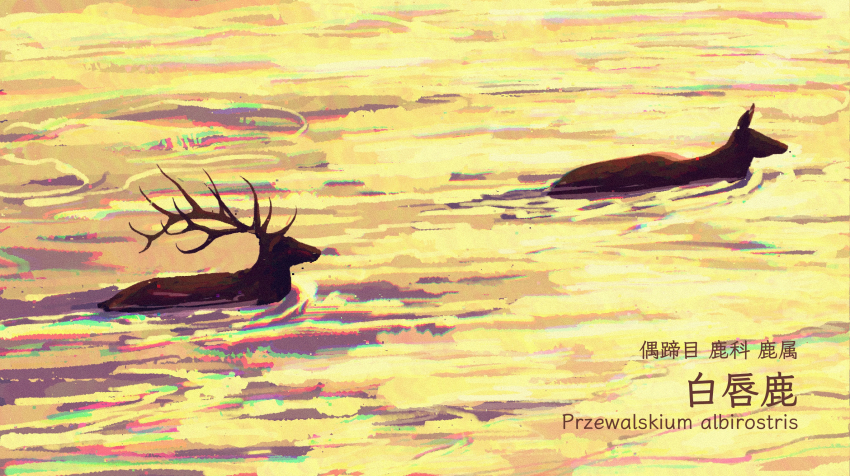animal, animal_focus, chinese_commentary, chromatic_aberration, commentary_request, day, deer, english_text