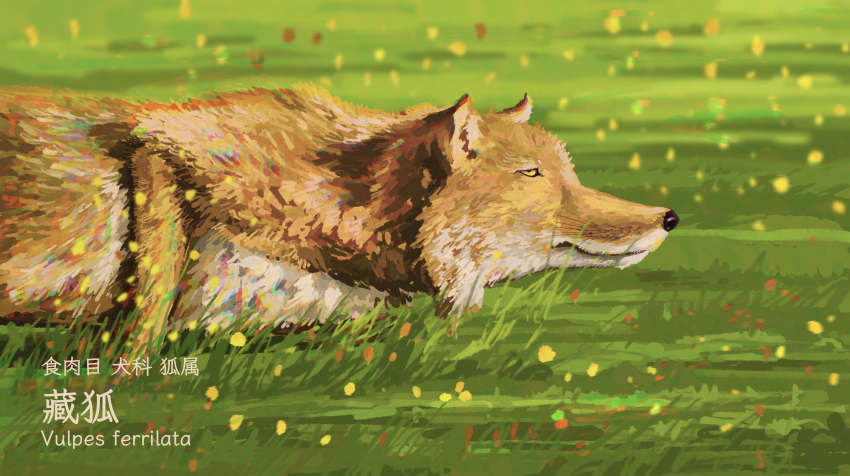 animal, animal_focus, chinese_commentary, commentary_request, day, english_text, fangpeii, field