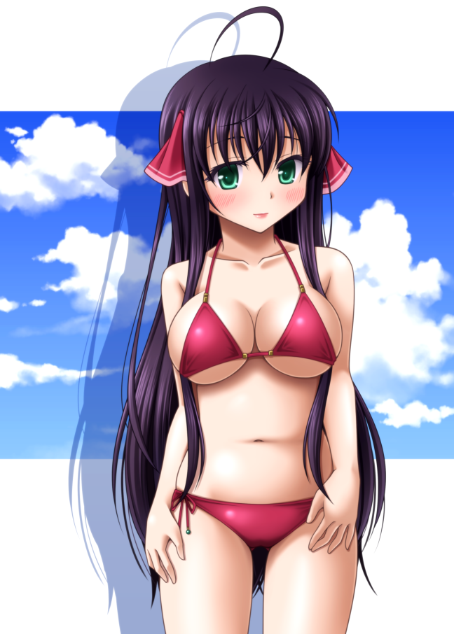 1girl, ahoge, bikini, black_hair, blue_sky, breasts, emil_chronicle_online, green_eyes