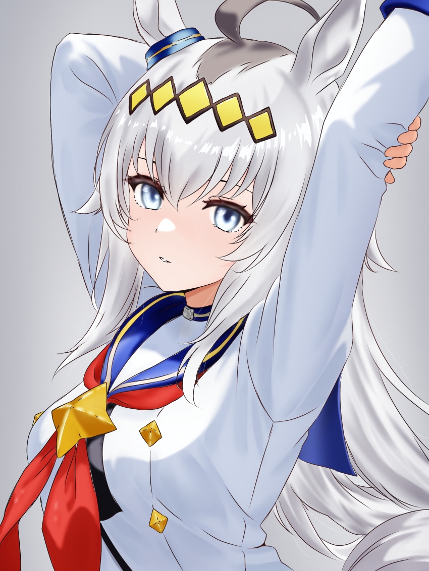 1girl, absurdres, ahoge, animal_ears, arm_behind_head, blue_collar, collar, grey_background