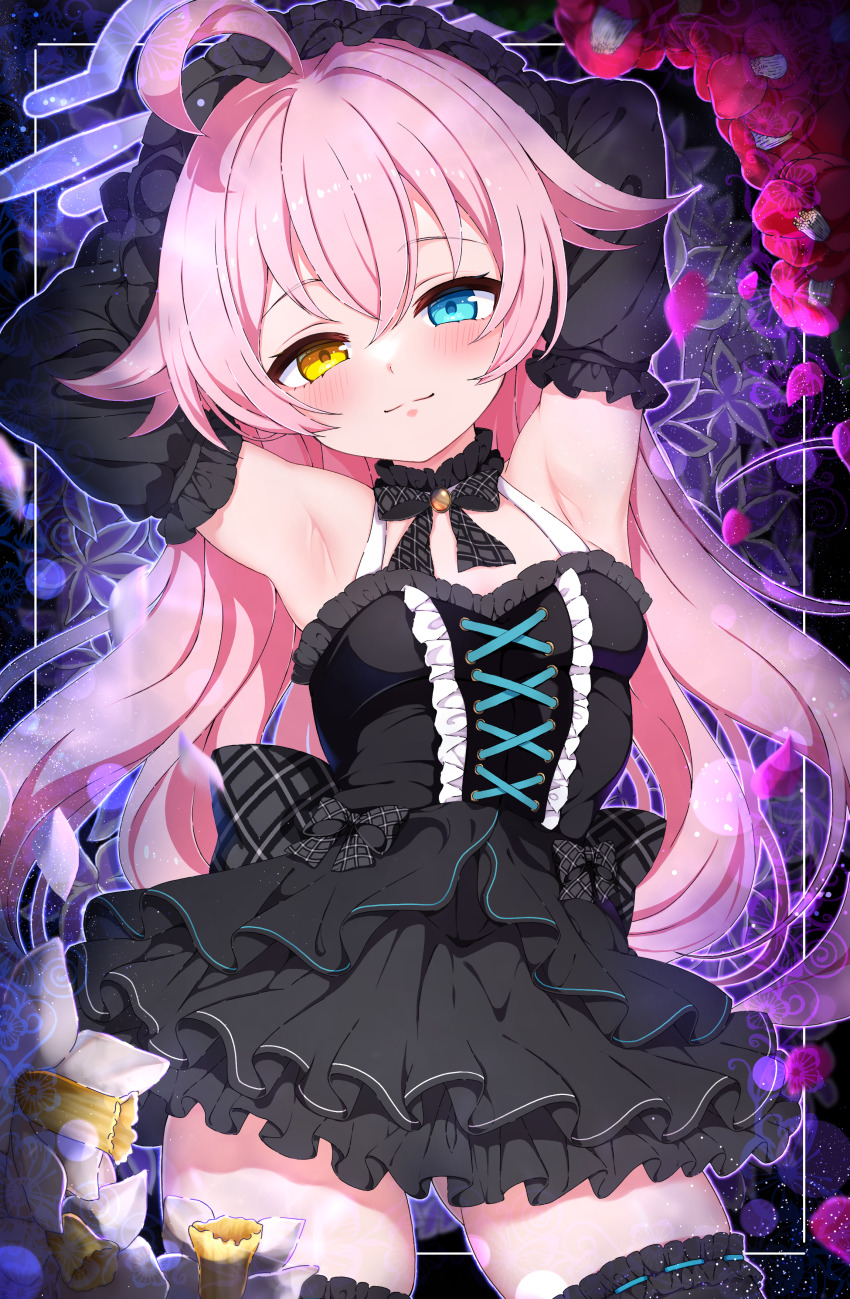 1girl, absurdres, ahoge, alternate_costume, armpit_crease, armpit_focus, armpits, arms_behind_head, bare_shoulders, black_bow, black_dress, black_gloves, black_headdress, black_sleeves, black_thighhighs, blue_archive, blue_eyes, blush, bow, bow_choker, breasts, choker, closed_mouth, commentary, crossed_bangs, detached_sleeves, dress, elbow_gloves, flower, frilled_choker, frilled_dress, frilled_hairband, frilled_headwear, frilled_sleeves, frilled_thighhighs, frills, gloves, gluteal_fold, gothic_lolita, hair_between_eyes, hairband, half-closed_eyes, halo, heterochromia, highres, hoshino_(blue_archive), huge_ahoge, layered_dress, loli, lolita_fashion, long_hair, long_sleeves, looking_at_viewer, petals, pink_hair, purple_halo, sen_chan_(akane1023), small_breasts, smile, solo, split_mouth, thighhighs, thighs, very_long_hair, yellow_eyes, zettai_ryouiki