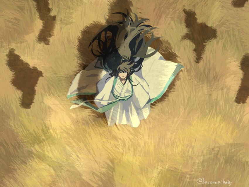 1boy, baconepibaby, black_eyes, black_hair, blue_eyes, blue_trim, chinese_clothes, commentary