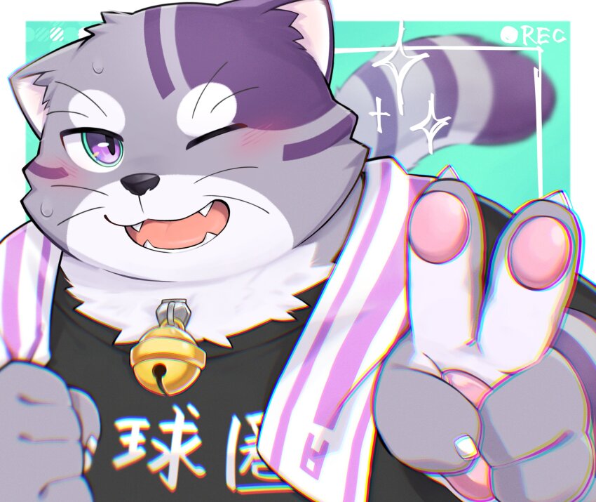 1boy, animal_ears, bell, black_shirt, blush, bygul_(live_a_hero), cat_boy, cat_ears