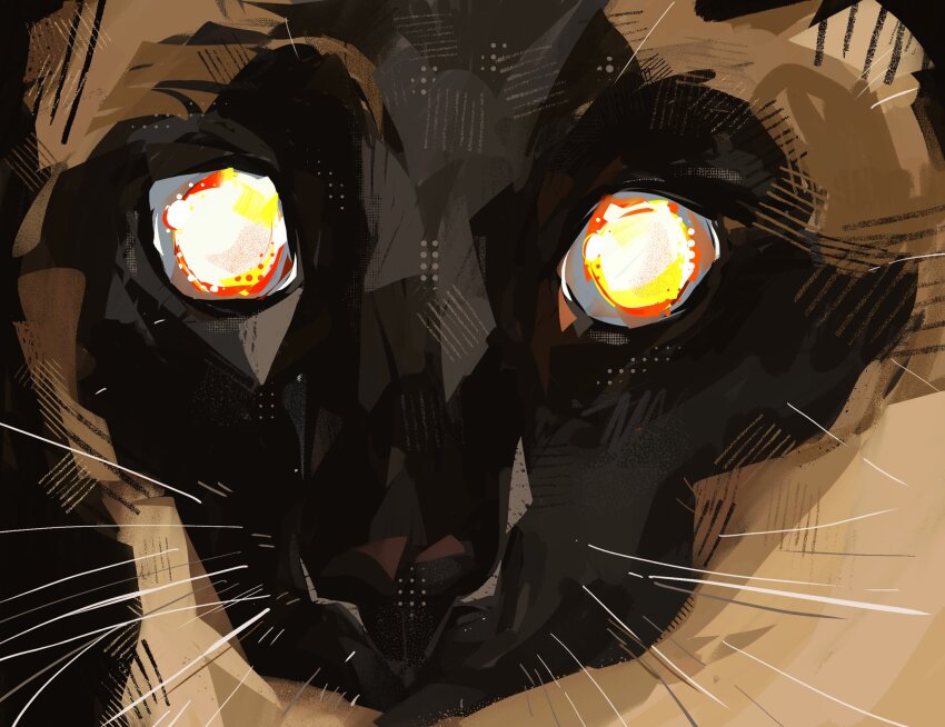 animal_focus, cat, close-up, colorpoint_(pattern), commentary, empty_eyes, english_commentary, fire