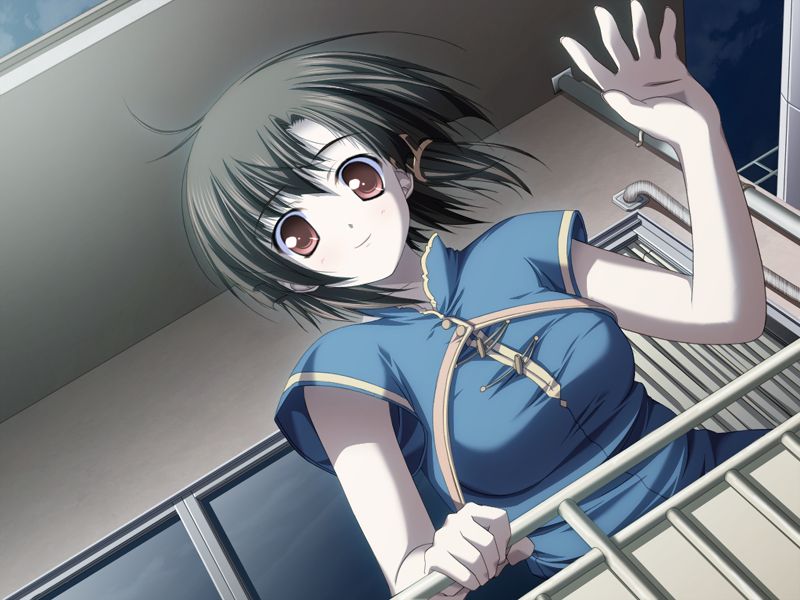 1girl, akiiro_renka, breasts, brown_eyes, brown_hair, game_cg, hair_tubes, night