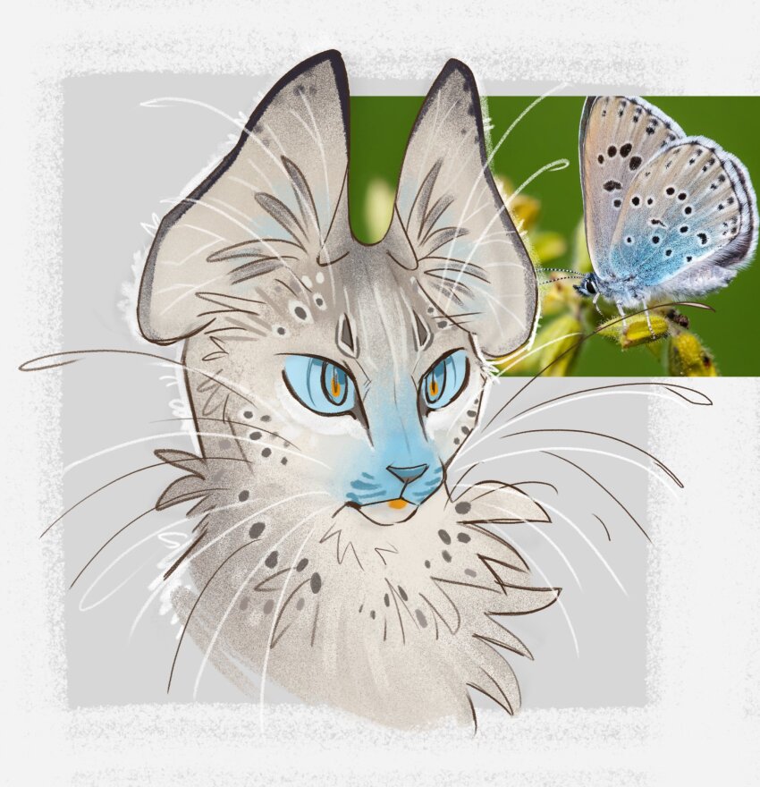 animal, animal_focus, blue_eyes, bug, butterfly, cat, commentary, cropped_head