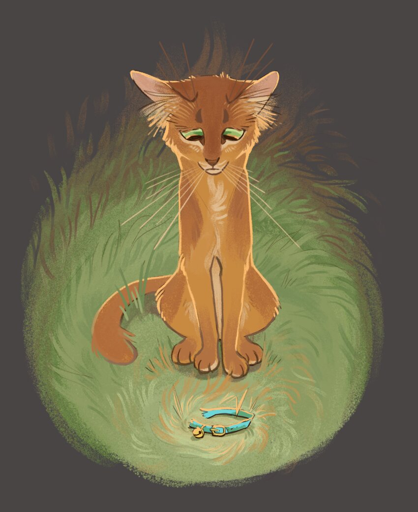 absurdres, animal, animal_collar, animal_focus, bell, cat, collar, commentary