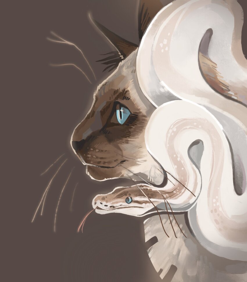 animal, animal_focus, blue_eyes, brown_background, cat, colorpoint_(pattern), commentary, english_commentary, finchwing, from_side, highres, no_humans, oriental_cat, original, profile, realistic, siamese_cat, simple_background, snake, tongue, tongue_out, whiskers