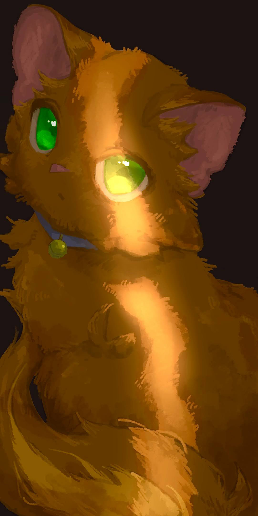 animal, animal_collar, animal_focus, baby_animal, bell, blue_collar, cat, collar