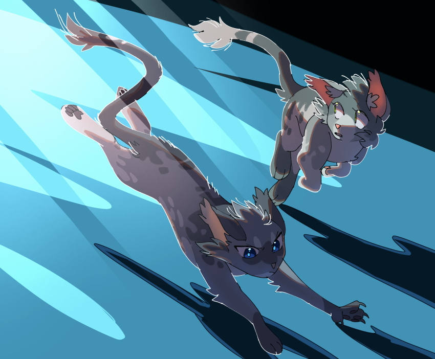 animal, animal_focus, blue_eyes, cat, character_request, check_character, claws, commentary_request