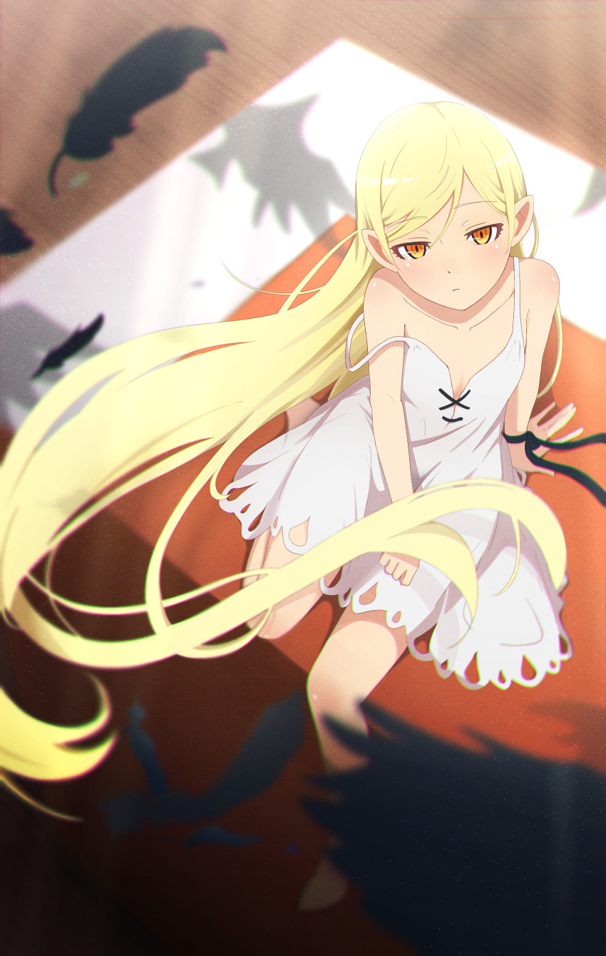 1girl, absurdres, arm_support, bare_shoulders, bird, black_ribbon, blonde_hair, blurry, blurry_background, closed_mouth, commentary_request, crow, dress, falling_feathers, feathers, film_grain, flat_chest, from_above, highres, kagari_ds, kiss-shot_acerola-orion_heart-under-blade, kiss-shot_acerola-orion_heart-under-blade_(young), kizumonogatari, light_frown, long_hair, looking_at_viewer, looking_up, monogatari_(series), oshino_shinobu, pointy_ears, ribbon, shadow, sitting, sleeveless, sleeveless_dress, solo, strap_slip, sundress, swept_bangs, very_long_hair, white_dress, wrist_ribbon, yellow_eyes