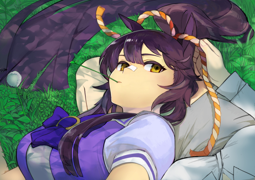 2girls, absurdres, animal_ears, bandaid, bandaid_on_face, bandaid_on_nose, black_hair, breasts, day, female_pov, female_trainer_(umamusume), grass, highres, horse_ears, horse_girl, lap_pillow, large_breasts, long_hair, looking_at_viewer, mouth_hold, multiple_girls, narita_brian_(umamusume), outdoors, pov, pov_breasts, rope, school_uniform, shimenawa, shiotansushi, stalk_in_mouth, tracen_school_uniform, trainer_(umamusume), umamusume, yellow_eyes, yuri