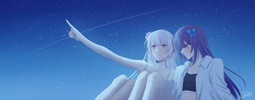 2girls, arm_up, artist_name, assault_lily, bare_arms, bare_shoulders, bing_bushi_ganmao_ling_z, black_sports_bra, blush, butterfly_hair_ornament, camisole, chinese_commentary, closed_mouth, collarbone, collared_shirt, commentary_request, flower, funada_kiito, funada_ui, green_eyes, grey_hair, hair_flower, hair_ornament, highres, knees_up, long_sleeves, looking_afar, looking_at_another, looking_to_the_side, looking_up, multiple_girls, night, open_clothes, open_shirt, outdoors, outstretched_arm, pointing, pointing_up, purple_eyes, purple_flower, purple_hair, shirt, shooting_star, siblings, side-by-side, signature, sisters, sitting, sky, sports_bra, star_(sky), starry_sky, upper_body, white_camisole, white_shirt