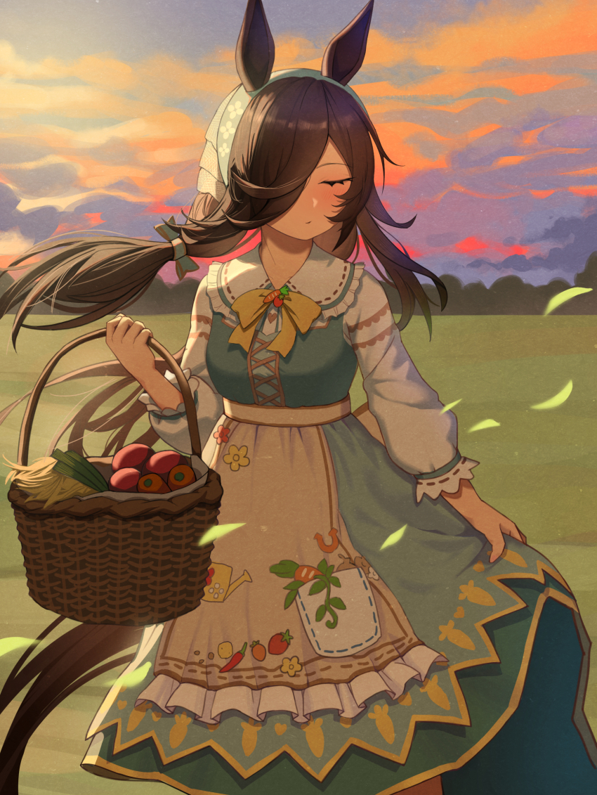 1girl, animal_ears, basket, blue_dress, blush, bow, brown_hair, carrot_print