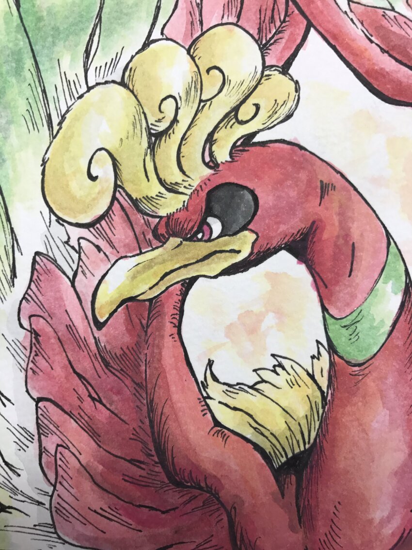 animal_focus, bird, bright_pupils, closed_mouth, commentary_request, gen_2_pokemon, highres, ho-oh