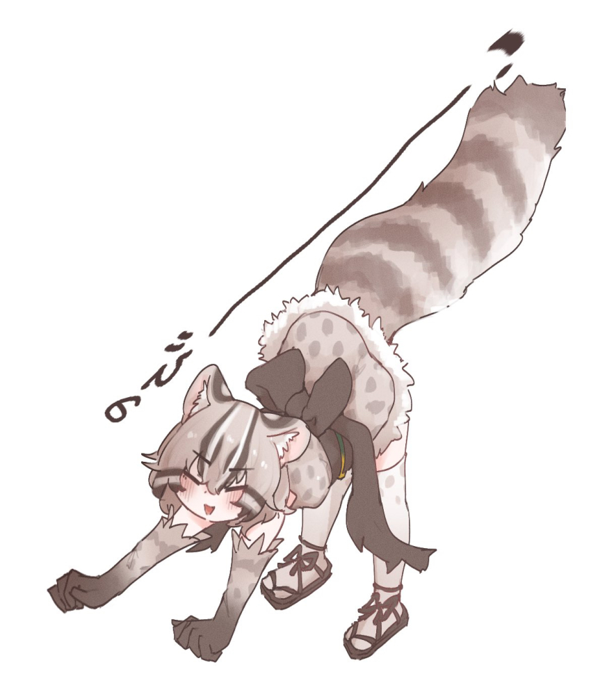 1girl, all_fours, back_bow, bent_over, blush, bow, clenched_hands, closed_eyes, commentary, dress, elbow_gloves, fluffy, from_above, from_side, full_body, gloves, grey_dress, grey_hair, highres, kemono_friends, large_tail, multicolored_hair, nyctereutes, open_mouth, polka_dot, polka_dot_dress, sandals, short_hair, simple_background, solo, sound_effects, streaked_hair, stretching, striped_tail, tail, tail_raised, translated, tsushima_leopard_cat_(kemono_friends), white_background