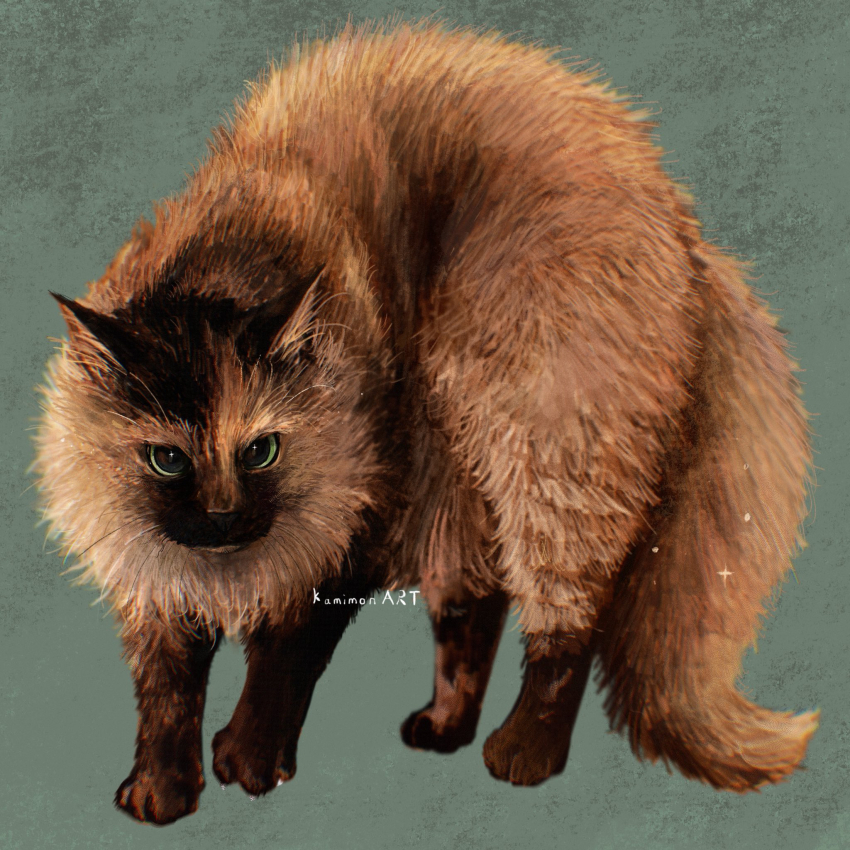 animal, animal_focus, artist_name, brown_cat, cat, grey_background, highres, kamimon2016