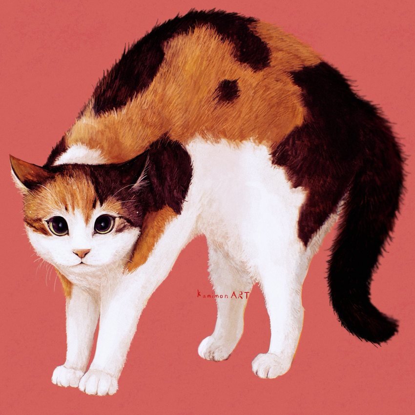 animal, animal_focus, artist_name, calico_(pattern), calico_cat, cat, commentary_request, highres, kamimon2016, looking_at_viewer, no_humans, original, red_background, whiskers