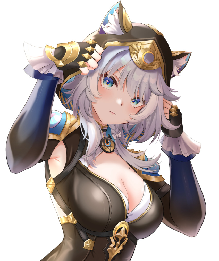 1girl, animal_ear_fluff, animal_ears, armpit_crease, black_gloves, black_leotard, blue_eyes, blush