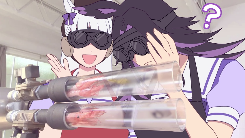 3_second_cooking, animal_ears, blunt_bangs, bow, breasts, brown_hat, ear_bow, ear_ribbon