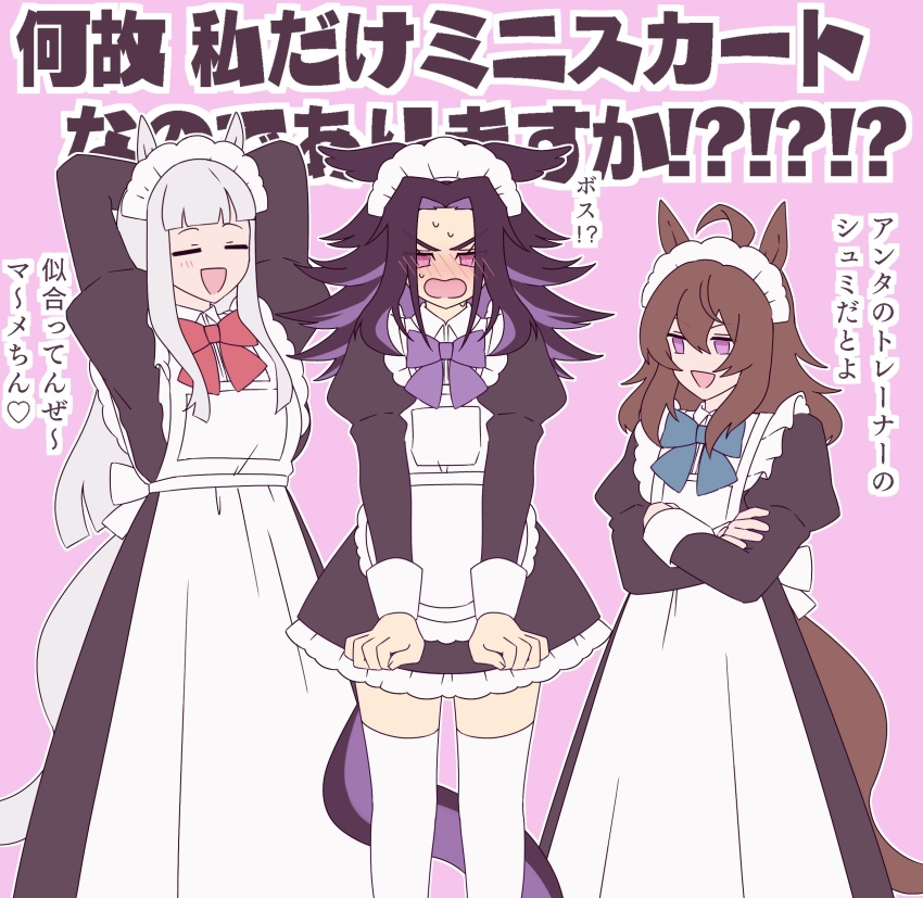 3girls, absurdres, animal_ears, apron, black_hair, brown_hair, dress, fenomeno_(umamusume)