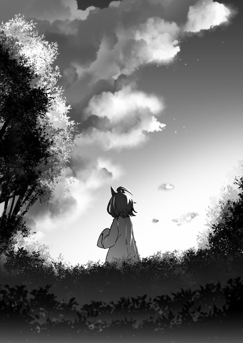 1girl, absurdres, agnes_tachyon_(umamusume), ahoge, animal_ears, cloud, commentary_request, from_behind