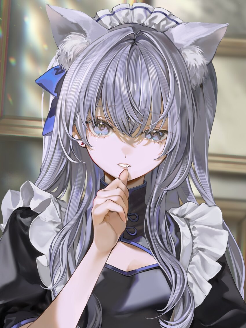 1girl, animal_ear_fluff, animal_ears, blue_hair, blue_ribbon, cat_ears, cleavage_cutout, clothing_cutout, commission, dot_nose, earrings, fang, frilled_shirt, frills, hair_between_eyes, hair_intakes, hair_over_shoulder, hair_ribbon, highres, indie_virtual_youtuber, jewelry, long_hair, looking_at_viewer, maid, maid_headdress, multicolored_eyes, parted_lips, purple_eyes, ribbon, shirayuki_mishiro, shirt, solo, standing, teeth, tnpp_coc, virtual_youtuber