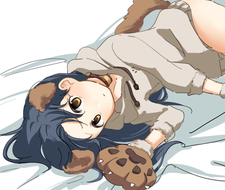 1girl, adapted_costume, animal_ears, animal_hands, archive_(user_ufsk2755), bed_sheet, blue_hair, brown_eyes, brown_hoodie, closed_mouth, dog_ears, dog_paws, dog_tail, drawstring, gloves, highres, hood, hood_down, hoodie, idolmaster, idolmaster_(classic), idolmaster_million_live!, idolmaster_million_live!_theater_days, kisaragi_chihaya, long_hair, looking_at_viewer, lying, official_alternate_costume, on_bed, on_side, paw_gloves, solo, tail, wanwan_wonderful_(idolmaster)