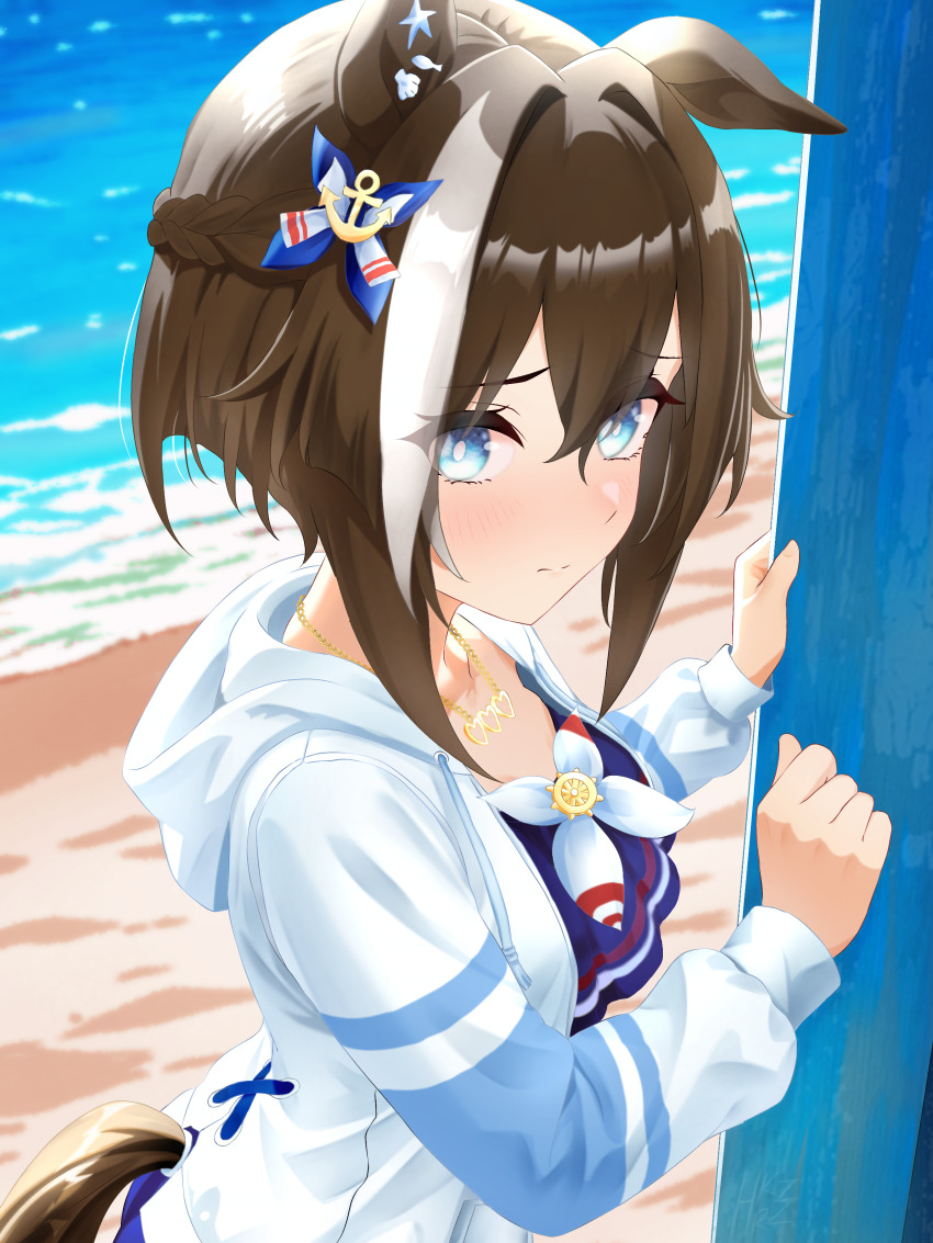 1girl, absurdres, bikini, blue_bikini, blue_eyes, blush, braid, brown_hair