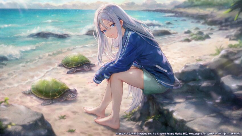 1girl, backlighting, bare_legs, barefoot, beach, bibimbub, blue_eyes, blue_jacket