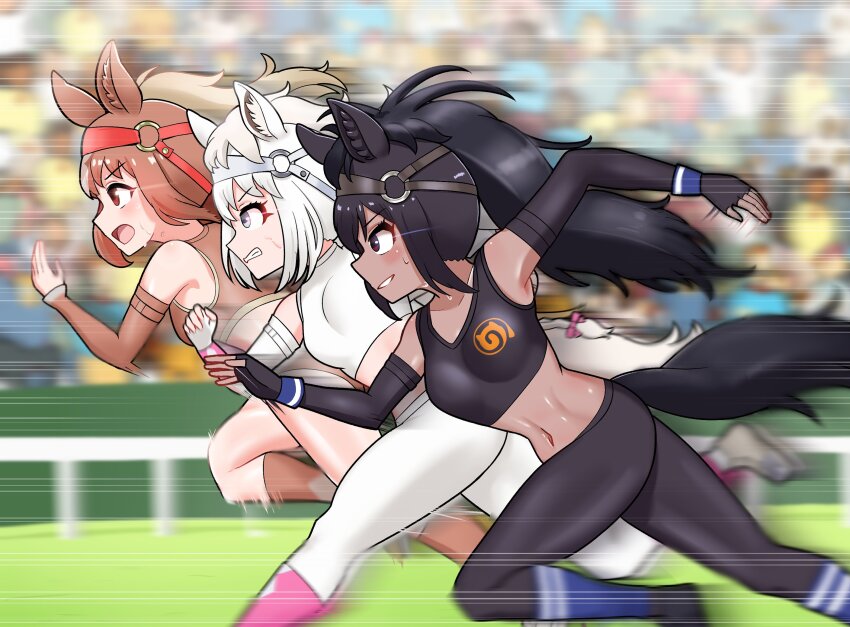 3girls, animal_ears, bare_shoulders, black_gloves, black_leggings, black_sports_bra, blue_leg_warmers, brown_buruma