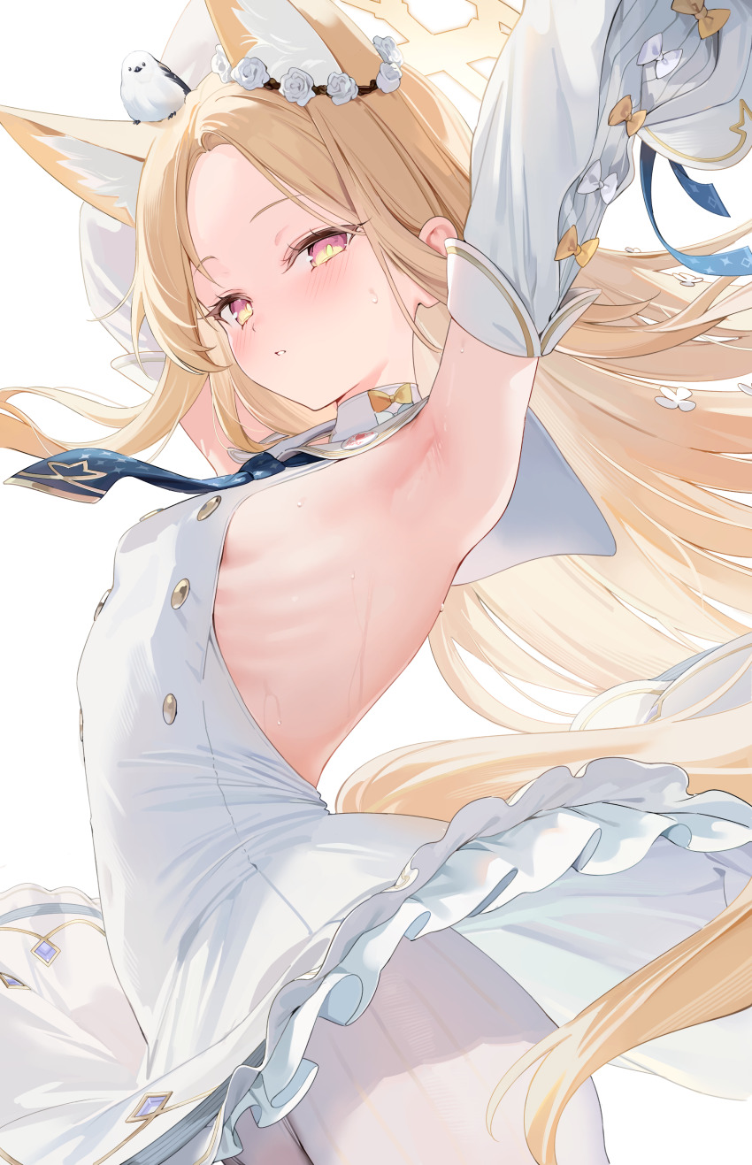 1girl, absurdres, animal, animal_ear_fluff, animal_ears, animal_on_head, armpit_focus, armpits, arms_up, bare_arms, bare_shoulders, bird, bird_on_head, black_necktie, blonde_hair, blue_archive, blue_necktie, blush, bow, braid, breasts, commentary_request, covered_navel, cross_halo, detached_sleeves, dress, ear_wreath, extra_ears, flower, fox_ears, fox_girl, fox_tail, frilled_dress, frills, gradient_eyes, hair_flower, hair_ornament, half-closed_eyes, halo, highres, kawauchi_(kaz7ry), loli, long_hair, long_sleeves, looking_at_viewer, multicolored_eyes, necktie, on_head, pantyhose, parted_lips, puffy_long_sleeves, puffy_sleeves, ribcage, sailor_collar, seia_(blue_archive), side_braid, simple_background, sleeve_bow, sleeveless, sleeveless_dress, small_breasts, solo, standing, striped_clothes, striped_pantyhose, sweat, tail, thighs, tit_(bird), vertical-striped_clothes, vertical-striped_pantyhose, very_long_hair, white_background, white_bow, white_dress, white_pantyhose, white_sailor_collar, white_sleeves, yellow_bow, yellow_halo