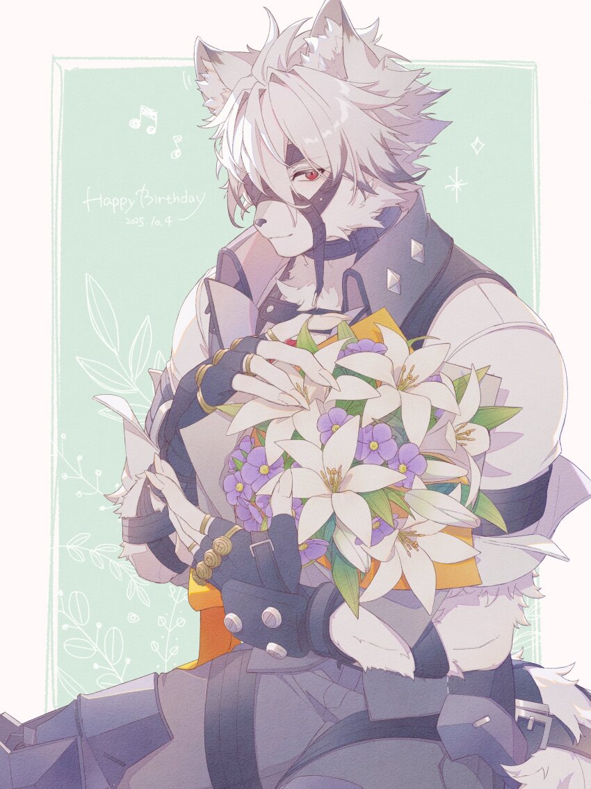 1boy, absurdres, animal_ears, bicep_strap, birthday, black_gloves, body_fur, bouquet, claws, collared_vest, colored_tips, eyepatch, fingerless_gloves, flower, furry, furry_male, gloves, gold_ring, green_background, green_pants, grey_vest, happy_birthday, highres, holding, holding_bouquet, hydrangea_salty, interspecies, jewelry, leaf, light_smile, looking_at_viewer, multicolored_hair, multiple_rings, musical_note, muzzle_(mask), pants, prosthesis, prosthetic_leg, purple_flower, red_eyes, ring, short_hair, sitting, solo, sparkle, tail, tail_belt, vest, von_lycaon, white_background, white_flower, white_fur, white_hair, wolf_boy, wolf_ears, wolf_tail, zenless_zone_zero