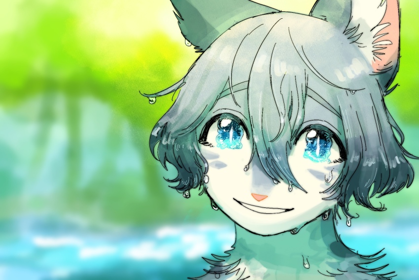 animal, animal_focus, animal_with_hair, blue_eyes, blurry, blurry_background, bob_cut, cat