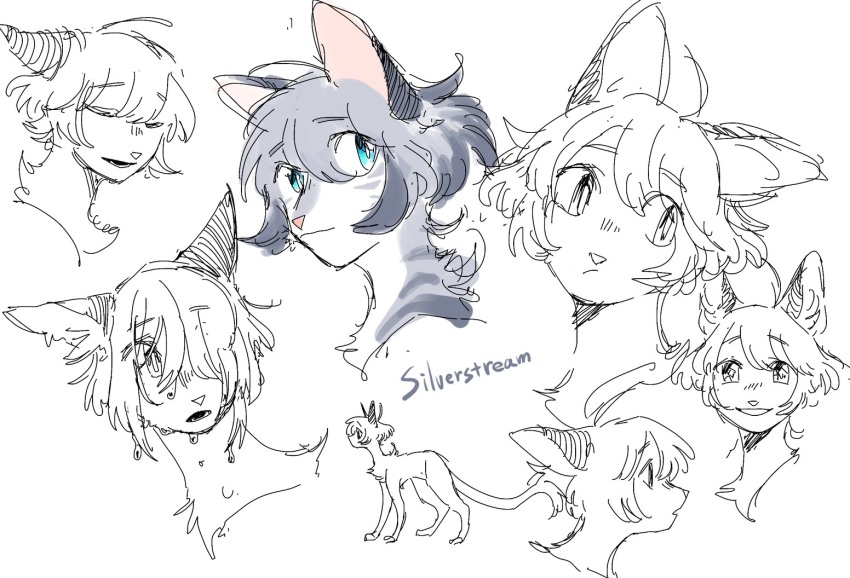 animal, animal_focus, animal_with_hair, blue_eyes, bob_cut, cat, character_name, commentary_request