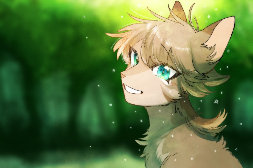 animal, animal_focus, animal_with_hair, aqua_eyes, blurry, blurry_background, cat, commentary_request