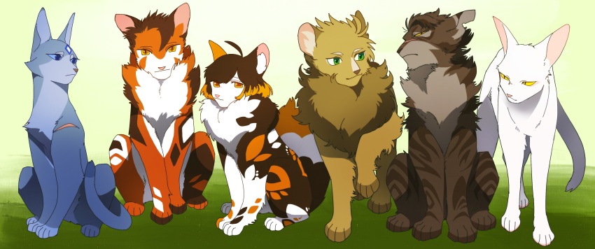 absurdres, ahoge, animal, animal_focus, animal_with_hair, blue_eyes, bluestar_(warrior_cats), calico_(pattern)