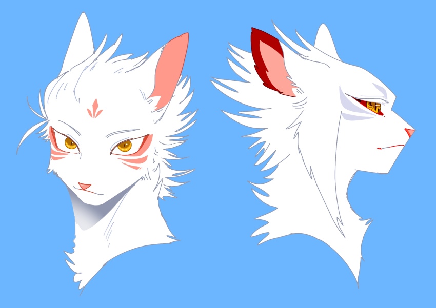 animal, animal_focus, blue_background, cat, commentary_request, cropped_head, highres, looking_at_viewer, multiple_views, neko_gokoro, no_humans, profile, sidelocks, simple_background, the_prophecies_begin, warrior_cats, white_cat, whitestorm, yellow_eyes