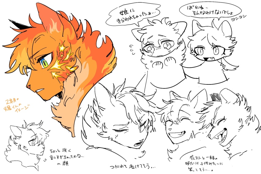 animal, animal_focus, animal_with_hair, cat, commentary_request, fire, firestar_(warrior_cats), green_eyes