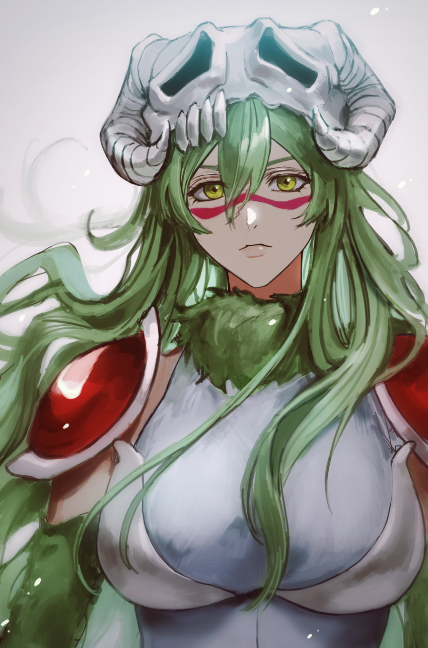 1girl, 22nae2, bleach, bleach:_sennen_kessen-hen, breasts, green_eyes, green_hair, highres, large_breasts, long_hair, nelliel_tu_odelschwanck, solo
