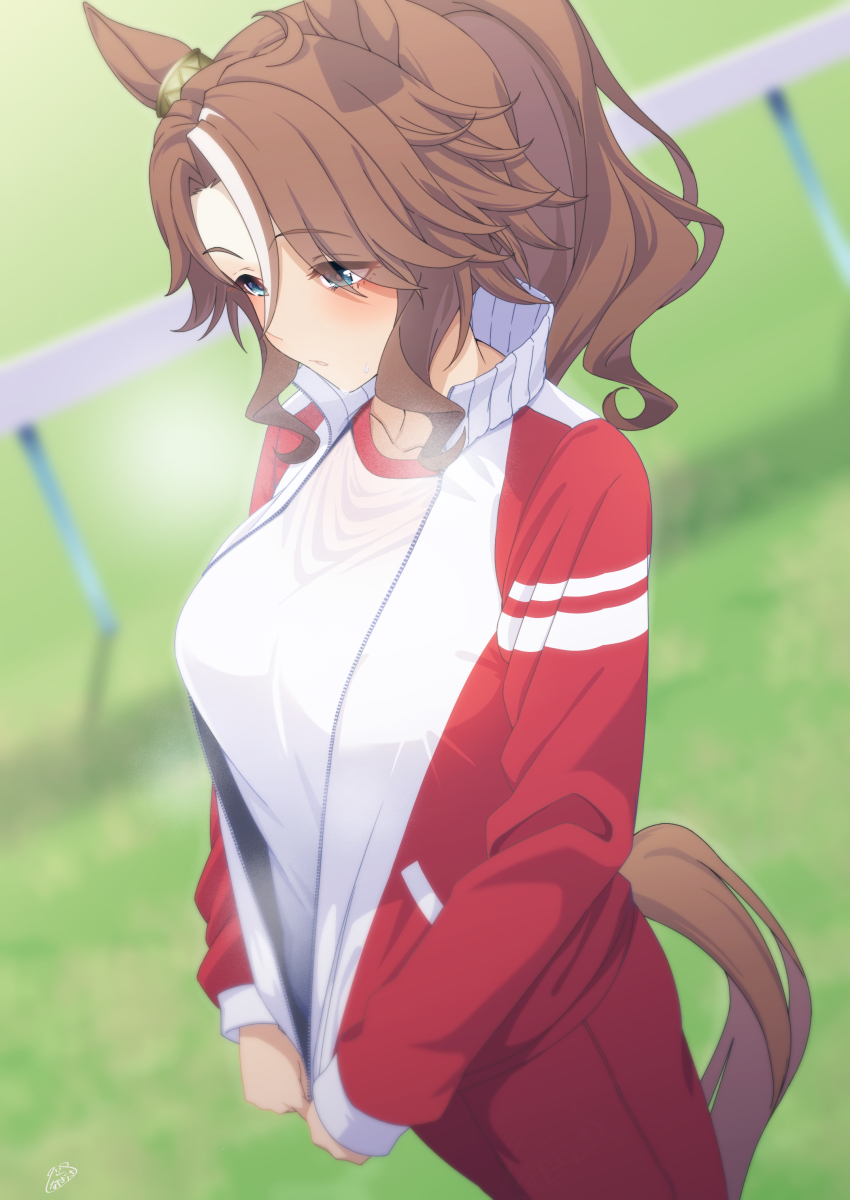 1girl, absurdres, animal_ears, aqua_eyes, blush, breasts, brown_hair, commentary_request