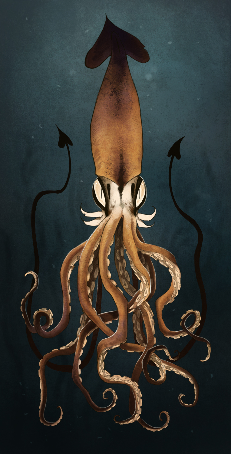 animal, animal_focus, highres, kraken, no_humans, original, solo, squid