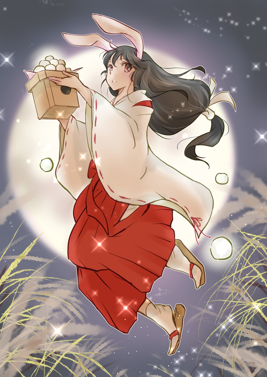 1girl, absurdres, animal_ears, arcboc, black_hair, commentary_request, dango, food, full_body, full_moon, grass, hakama, hakama_skirt, highres, holding, holding_food, huge_moon, japanese_clothes, long_hair, looking_at_viewer, low-tied_long_hair, miko, moon, night, original, rabbit_ears, rabbit_girl, red_hakama, red_skirt, ribbon-trimmed_sleeves, ribbon_trim, sandals, skirt, socks, solo, star_(sky), tsukimi, tsukimi_dango, wagashi, white_socks, wide_sleeves, zouri