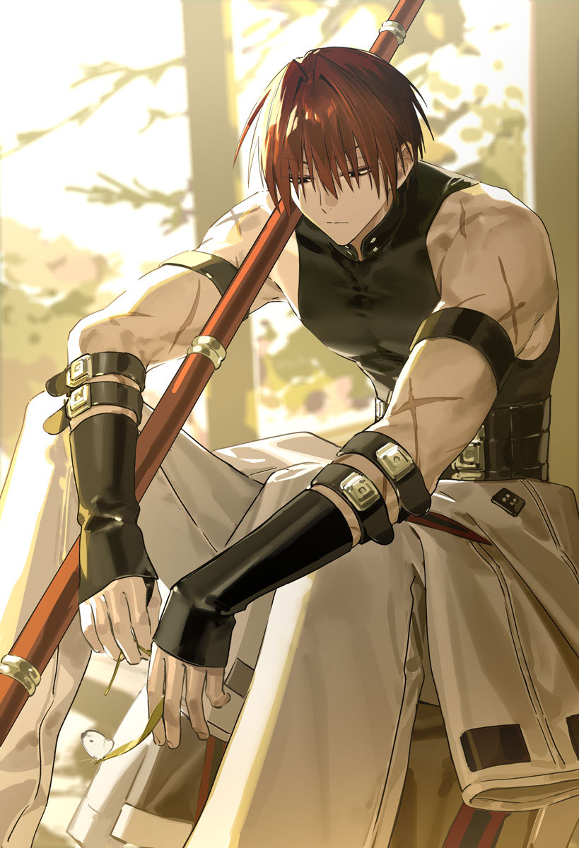 1boy, bicep_strap, black_shirt, bug, butterfly, clothes_around_waist, fate/grand_order, fate_(series)