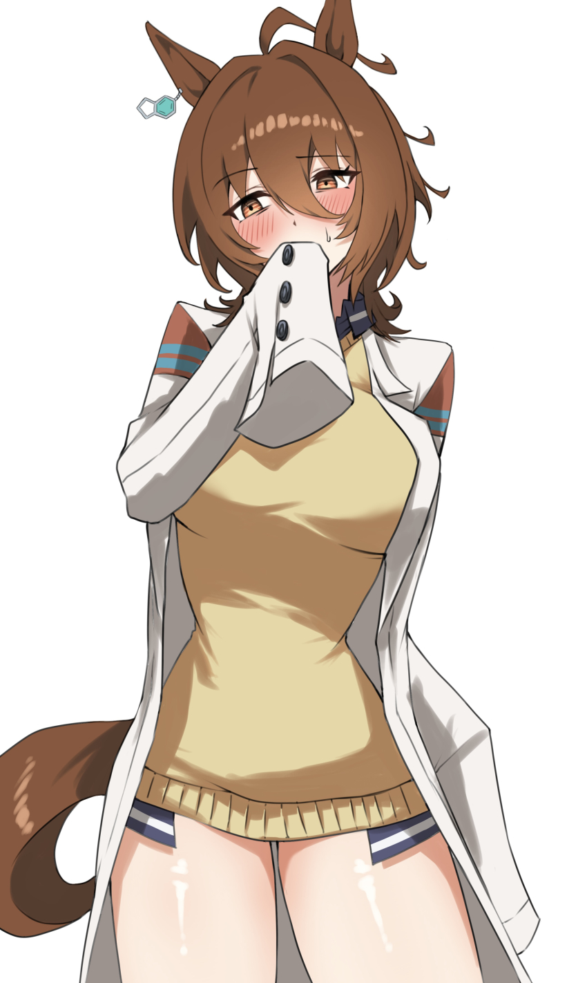 1girl, absurdres, agnes_tachyon_(tach-nology)_(umamusume), agnes_tachyon_(umamusume), animal_ears, anok7456, breasts, brown_eyes