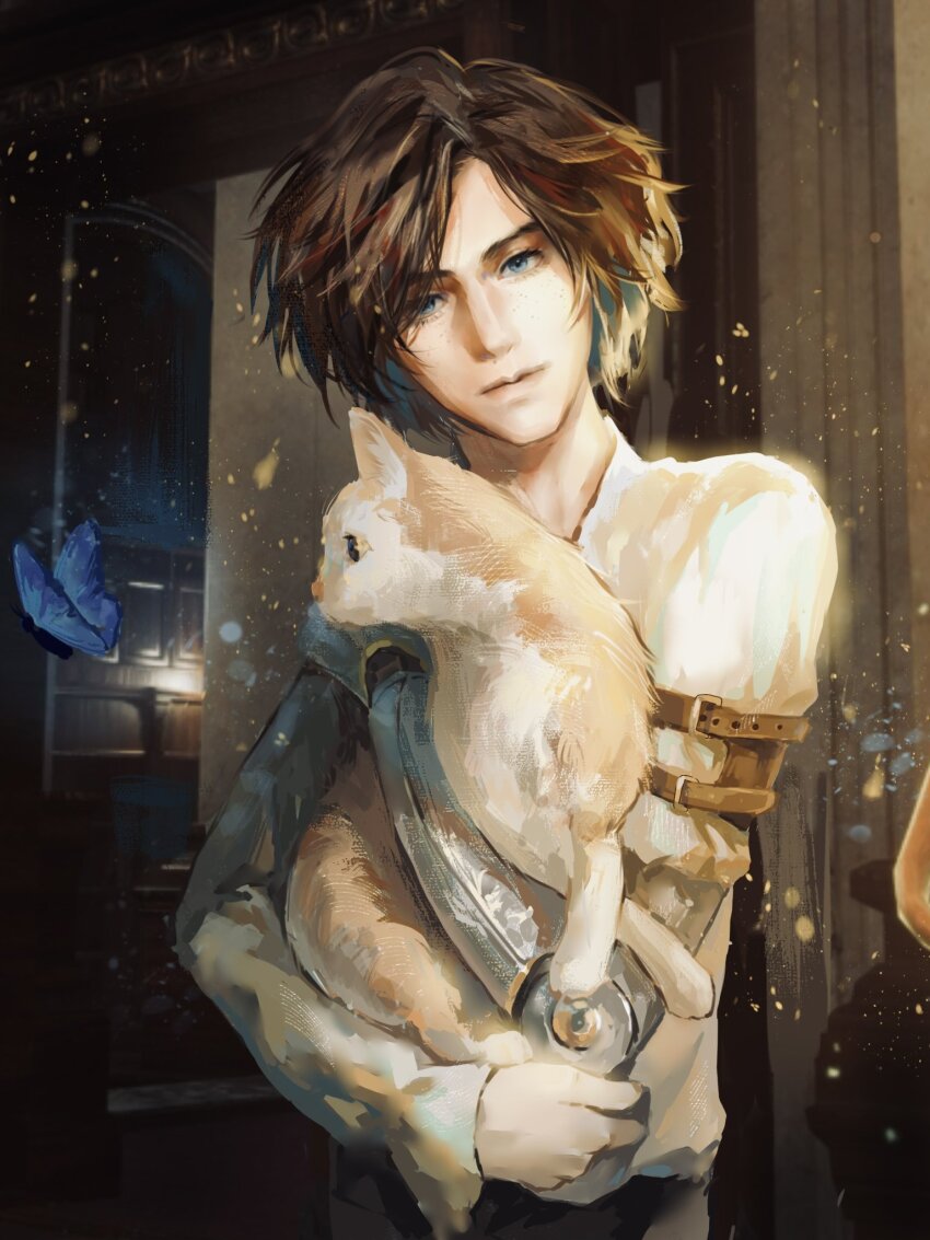 1boy, animal, black_hair, blue_butterfly, blue_eyes, bug, butterfly, cat